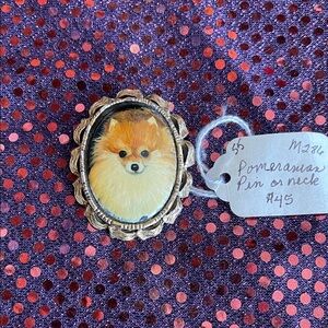 Pomeranian Brooch with Gold Trim